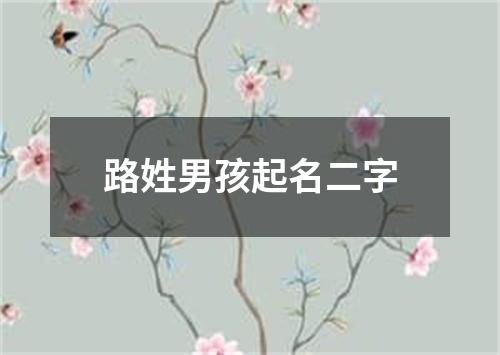 路姓男孩起名二字