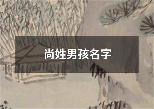 尚姓男孩名字