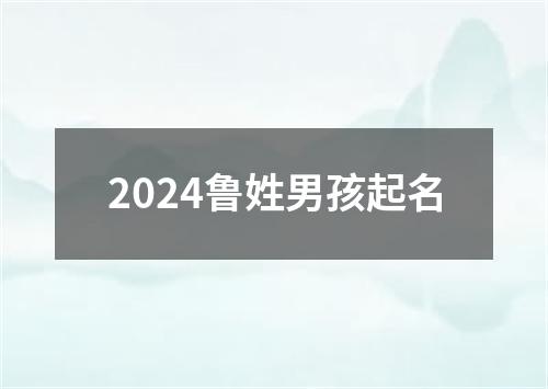 2024鲁姓男孩起名