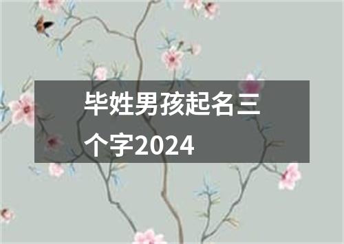 毕姓男孩起名三个字2024