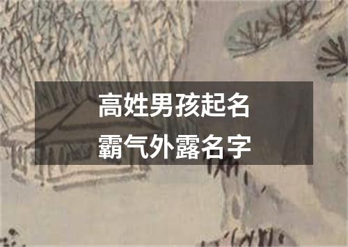 高姓男孩起名霸气外露名字