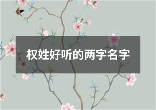 权姓好听的两字名字