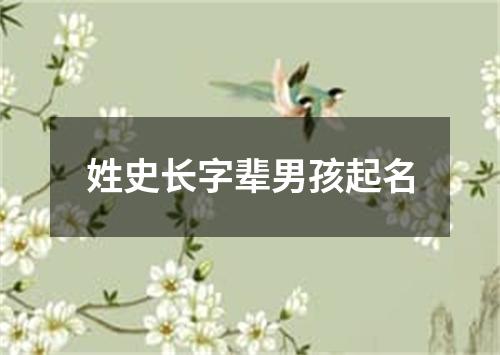 姓史长字辈男孩起名