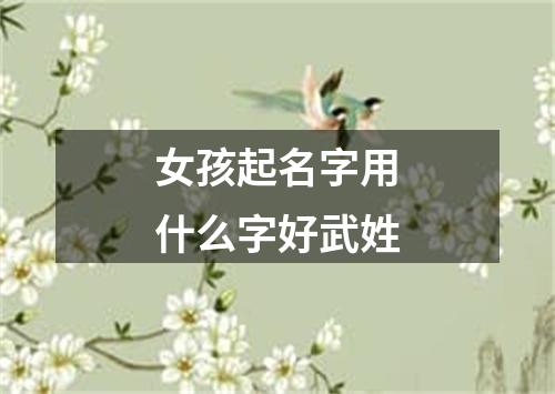 女孩起名字用什么字好武姓