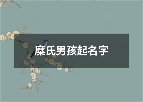 糜氏男孩起名字