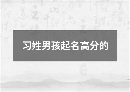 习姓男孩起名高分的