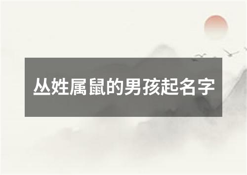 丛姓属鼠的男孩起名字