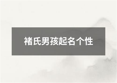 褚氏男孩起名个性