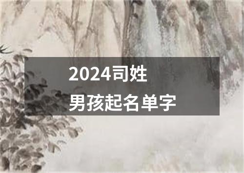 2024司姓男孩起名单字