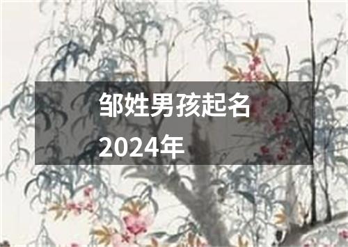 邹姓男孩起名2024年