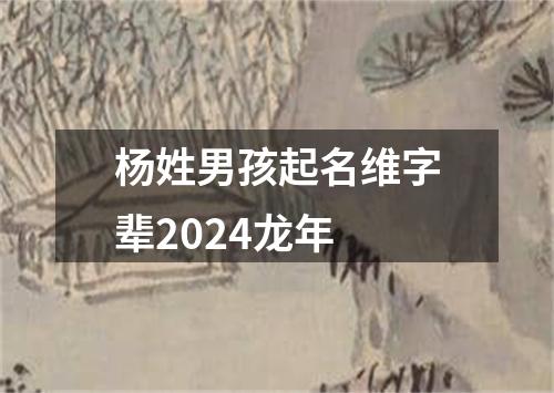 杨姓男孩起名维字辈2024龙年