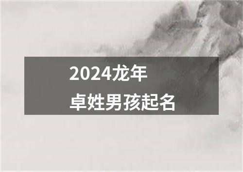 2024龙年卓姓男孩起名