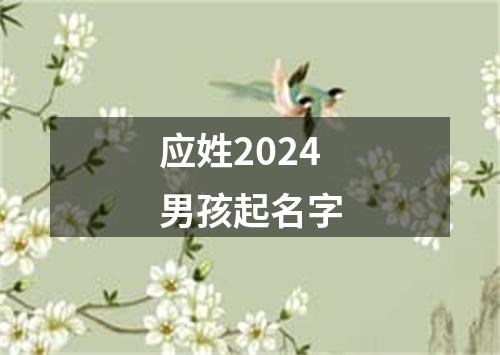 应姓2024男孩起名字