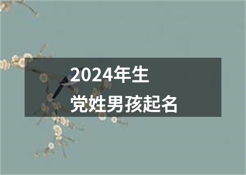 2024年生党姓男孩起名