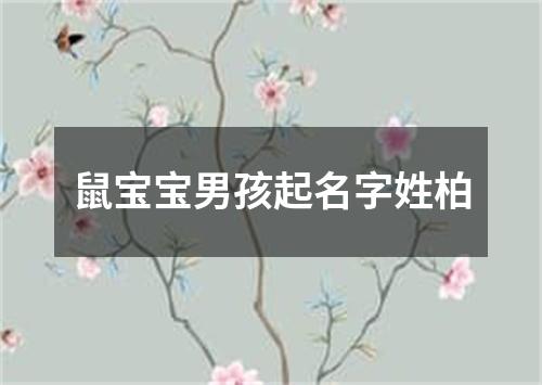 鼠宝宝男孩起名字姓柏