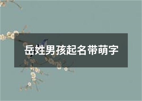 岳姓男孩起名带萌字