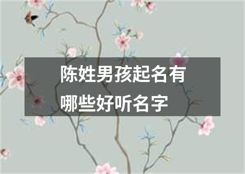 陈姓男孩起名有哪些好听名字