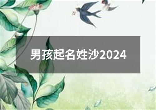 男孩起名姓沙2024