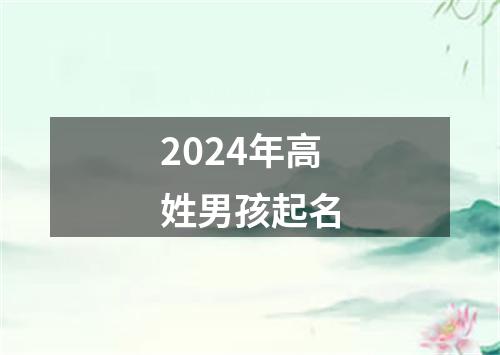 2024年高姓男孩起名