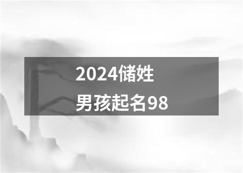 2024储姓男孩起名98