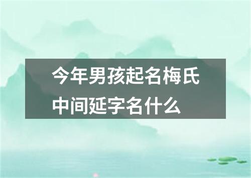 今年男孩起名梅氏中间延字名什么