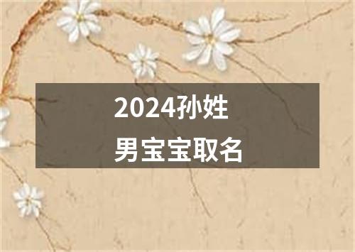 2024孙姓男宝宝取名