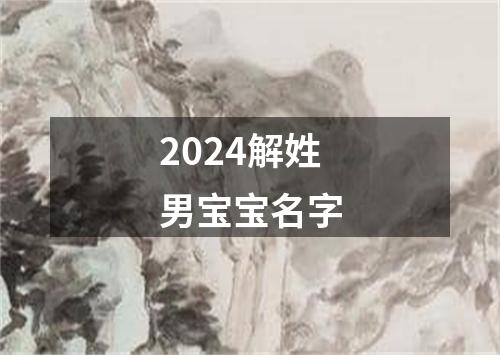 2024解姓男宝宝名字