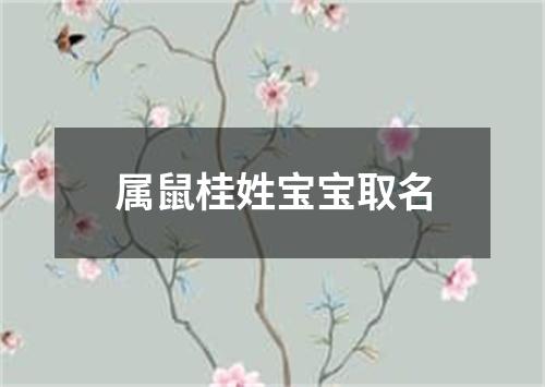 属鼠桂姓宝宝取名