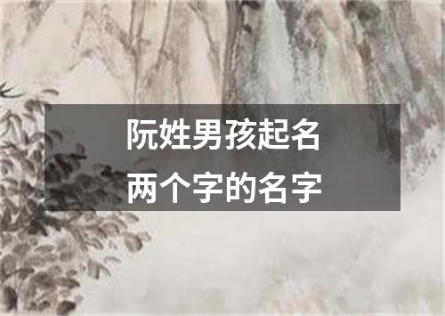 阮姓男孩起名两个字的名字