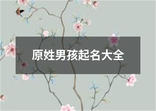 原姓男孩起名大全