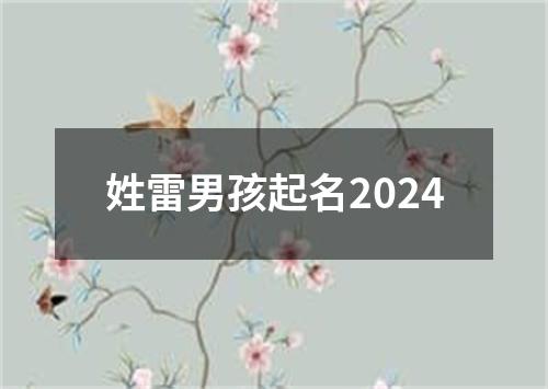 姓雷男孩起名2024