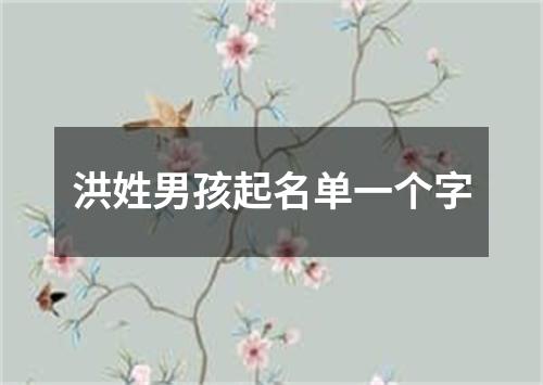 洪姓男孩起名单一个字