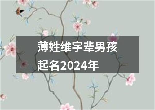 薄姓维字辈男孩起名2024年