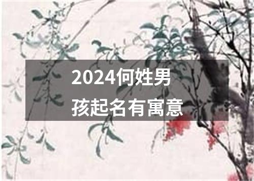 2024何姓男孩起名有寓意