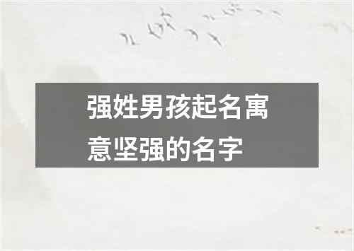 强姓男孩起名寓意坚强的名字