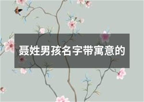 聂姓男孩名字带寓意的