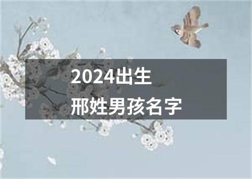 2024出生邢姓男孩名字