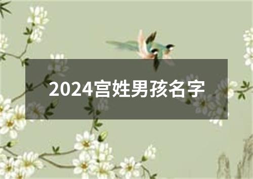 2024宫姓男孩名字