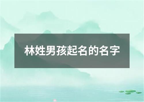 林姓男孩起名的名字