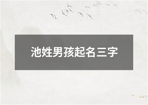 池姓男孩起名三字