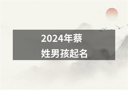 2024年蔡姓男孩起名