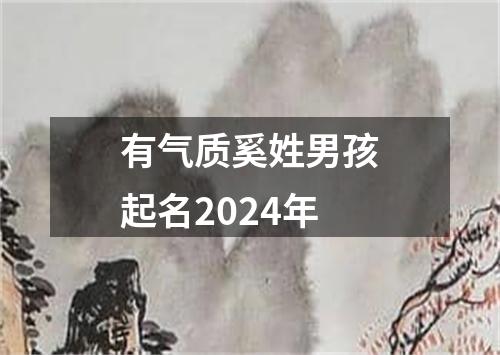 有气质奚姓男孩起名2024年