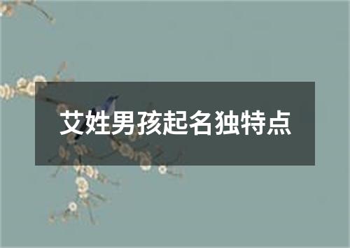 艾姓男孩起名独特点