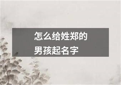 怎么给姓郑的男孩起名字