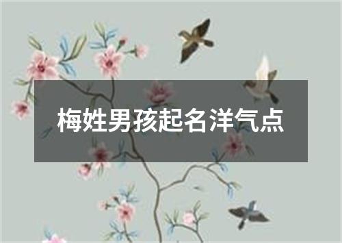 梅姓男孩起名洋气点