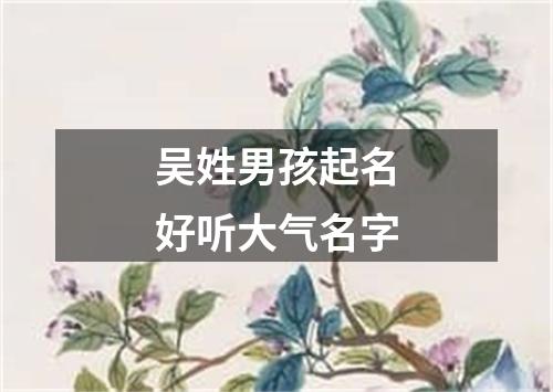 吴姓男孩起名好听大气名字