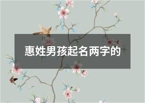 惠姓男孩起名两字的