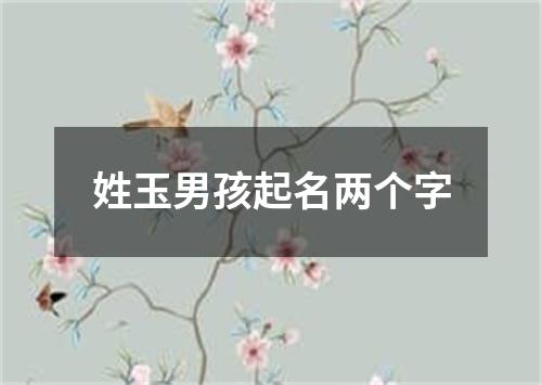 姓玉男孩起名两个字