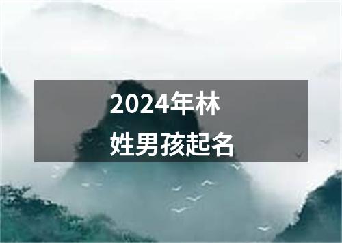 2024年林姓男孩起名