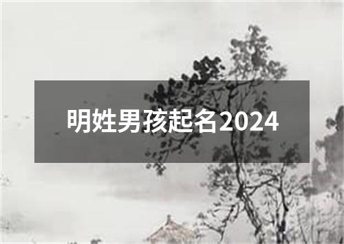 明姓男孩起名2024